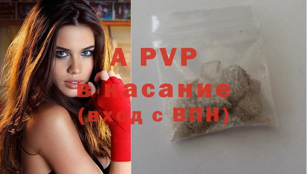 СК Арсеньев