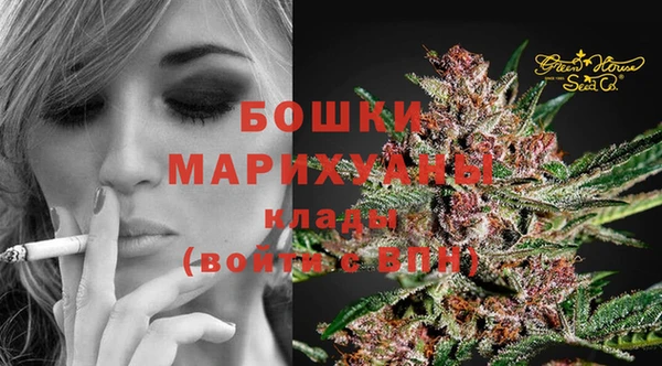 хмурый Аркадак