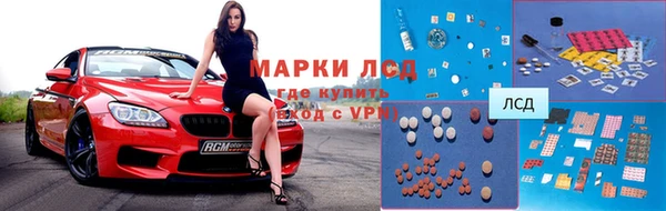 хмурый Аркадак
