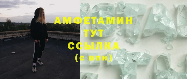 хмурый Аркадак