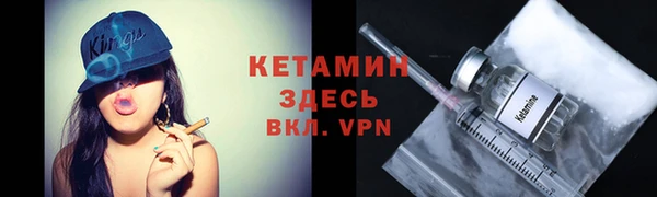 хмурый Аркадак