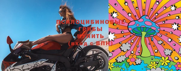 хмурый Аркадак