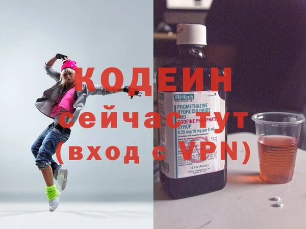 хмурый Аркадак
