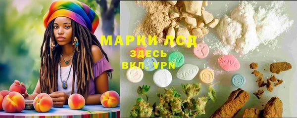 ГАЛЛЮЦИНОГЕННЫЕ ГРИБЫ Армянск