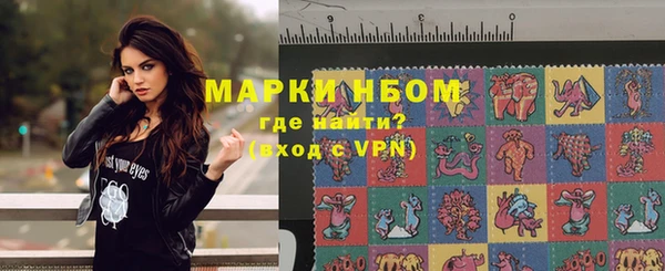 хмурый Аркадак