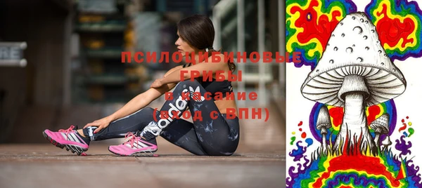 ГАЛЛЮЦИНОГЕННЫЕ ГРИБЫ Армянск