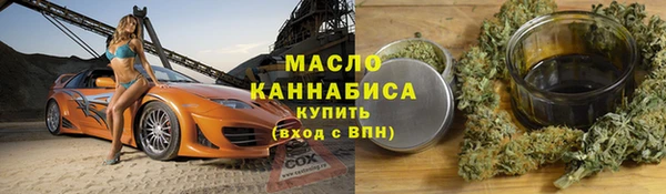 хмурый Аркадак