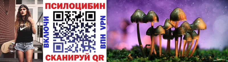 Псилоцибиновые грибы мицелий  гидра как зайти  Сольцы 